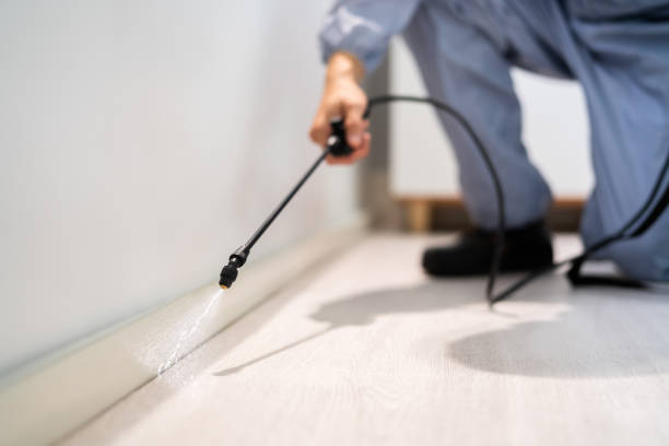 Licensed Mosquito Control service in Abingdon, MD - Show Me Pest Control